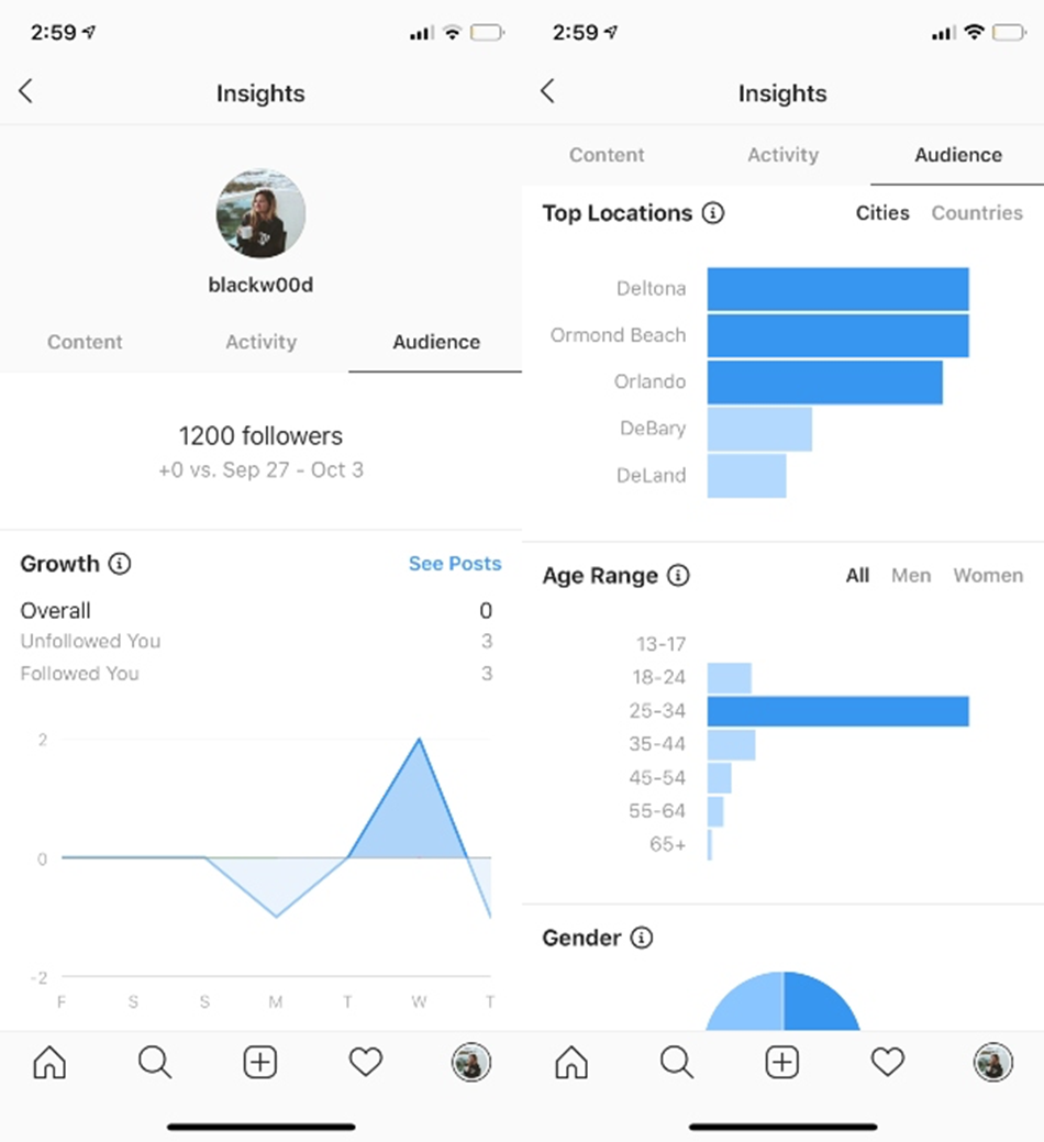 Instagram insights